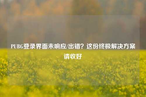 PUBG登录界面未响应/出错？这份终极解决方案请收好