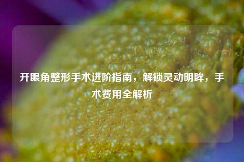 开眼角整形手术进阶指南，解锁灵动明眸，手术费用全解析