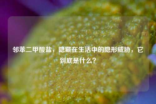 邻苯二甲酸盐，隐藏在生活中的隐形威胁，它到底是什么？
