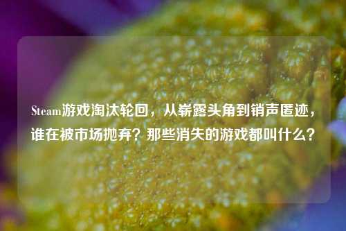 Steam游戏淘汰轮回，从崭露头角到销声匿迹，谁在被市场抛弃？那些消失的游戏都叫什么？