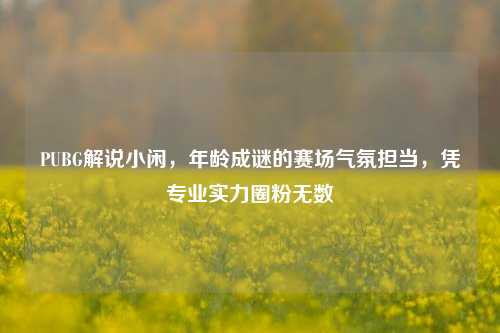 PUBG解说小闲，年龄成谜的赛场气氛担当，凭专业实力圈粉无数