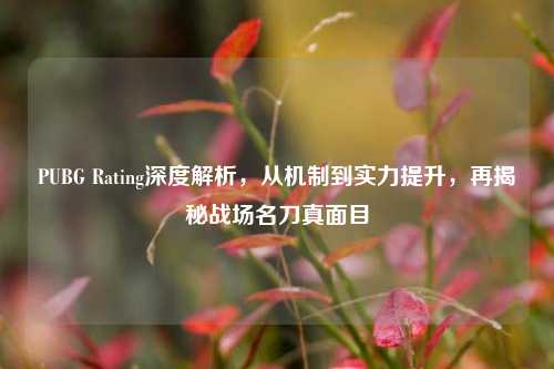 PUBG Rating深度解析，从机制到实力提升，再揭秘战场名刀真面目
