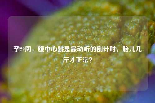 孕29周，腹中心跳是最动听的倒计时，胎儿几斤才正常？