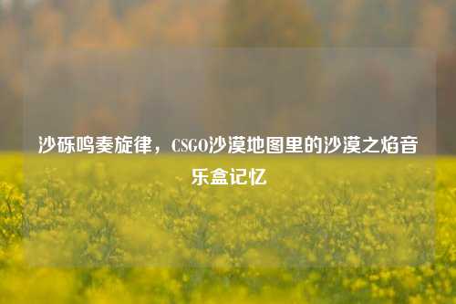 沙砾鸣奏旋律，CSGO沙漠地图里的沙漠之焰音乐盒记忆