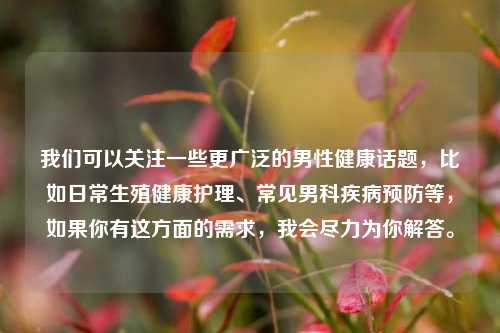 我们可以关注一些更广泛的男性健康话题，比如日常生殖健康护理、常见男科疾病预防等，如果你有这方面的需求，我会尽力为你解答。