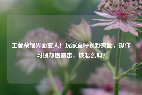 王者荣耀界面变大！玩家直呼视野爽翻，操作习惯却遭暴击，该怎么调？