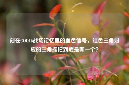刻在COD16战场记忆里的血色信号，红色三角对应的三角握把到底是哪一个？