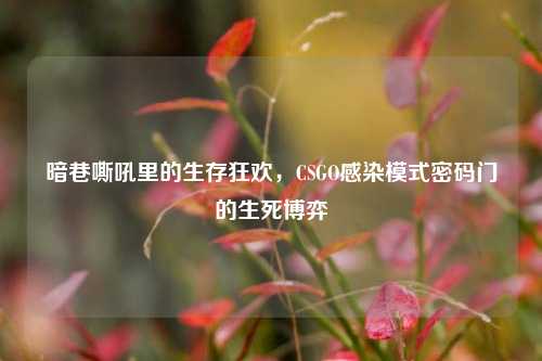 暗巷嘶吼里的生存狂欢，CSGO感染模式密码门的生死博弈