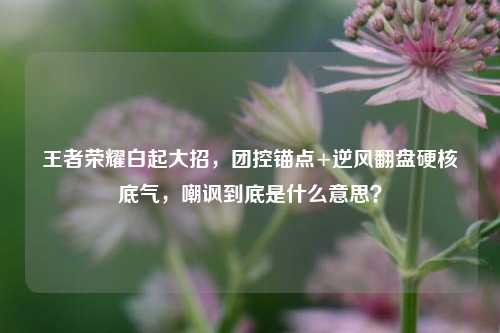 王者荣耀白起大招，团控锚点+逆风翻盘硬核底气，嘲讽到底是什么意思？