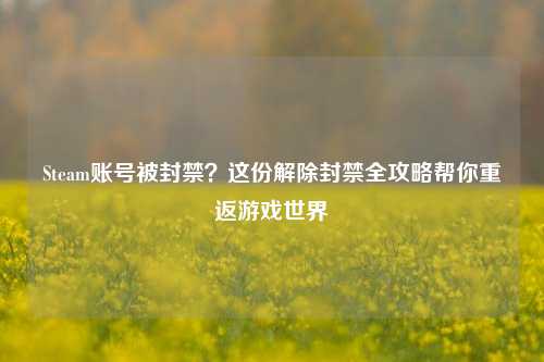 Steam账号被封禁？这份解除封禁全攻略帮你重返游戏世界
