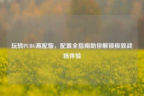 玩转PUBG高配版，配置全指南助你解锁极致战场体验