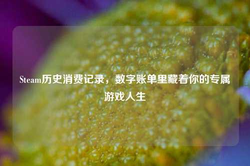 Steam历史消费记录，数字账单里藏着你的专属游戏人生