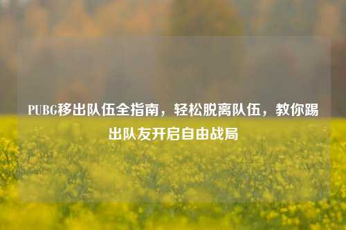 PUBG移出队伍全指南，轻松脱离队伍，教你踢出队友开启自由战局
