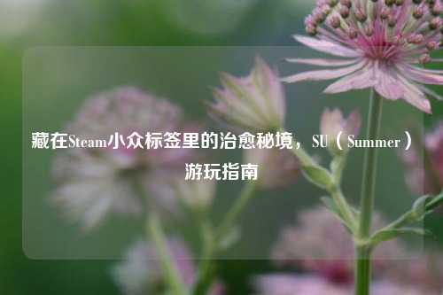 藏在Steam小众标签里的治愈秘境，SU（Summer）游玩指南