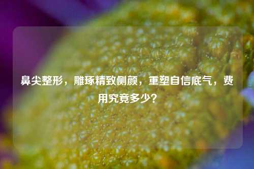 鼻尖整形，雕琢精致侧颜，重塑自信底气，费用究竟多少？