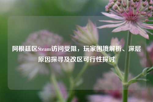 阿根廷区Steam访问受阻，玩家困境解析、深层原因探寻及改区可行性探讨