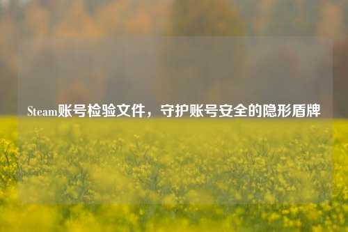 Steam账号检验文件，守护账号安全的隐形盾牌