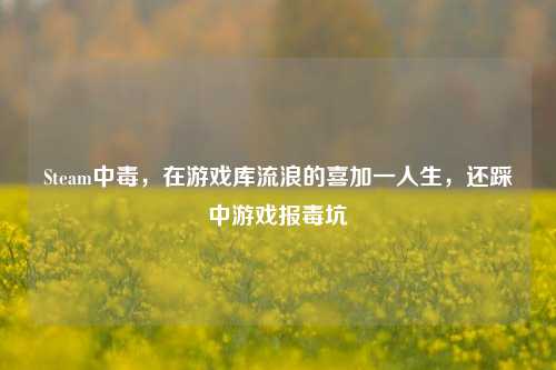 Steam中毒，在游戏库流浪的喜加一人生，还踩中游戏报毒坑