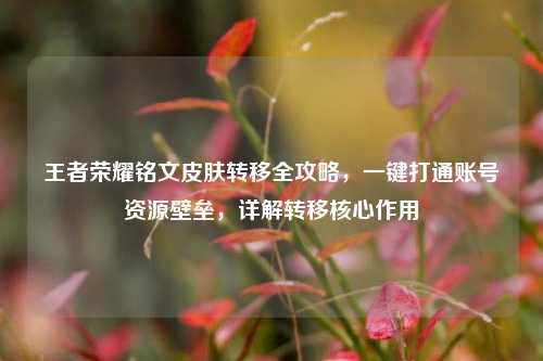 王者荣耀铭文皮肤转移全攻略，一键打通账号资源壁垒，详解转移核心作用