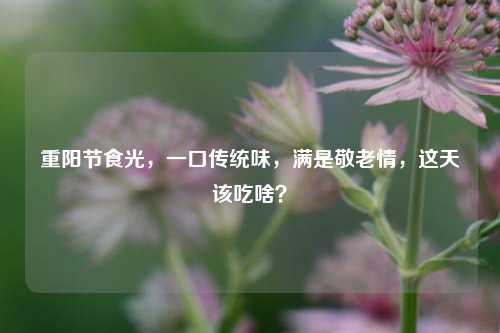 重阳节食光，一口传统味，满是敬老情，这天该吃啥？