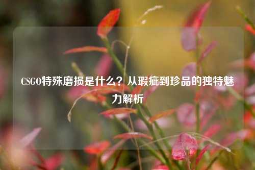 CSGO特殊磨损是什么？从瑕疵到珍品的独特魅力解析