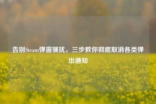 告别Steam弹窗骚扰，三步教你彻底取消各类弹出通知