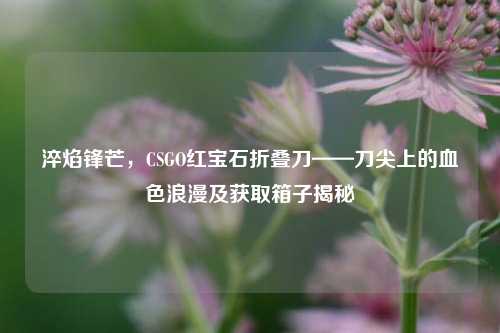 淬焰锋芒，CSGO红宝石折叠刀——刀尖上的血色浪漫及获取箱子揭秘