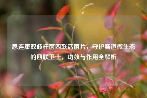 思连康双歧杆菌四联活菌片，守护肠道微生态的四联卫士，功效与作用全解析