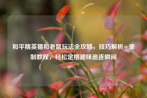 和平精英猫和老鼠玩法全攻略，技巧解析+录制教程，轻松定格趣味追逐瞬间