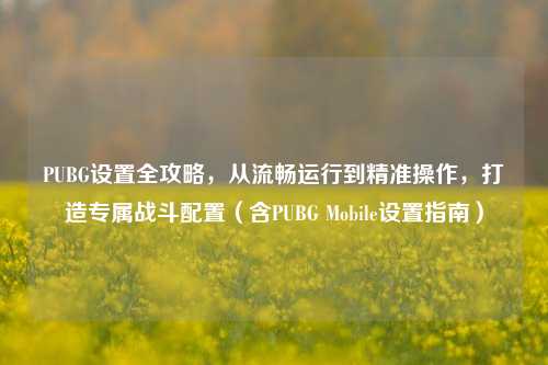 PUBG设置全攻略，从流畅运行到精准操作，打造专属战斗配置（含PUBG Mobile设置指南）