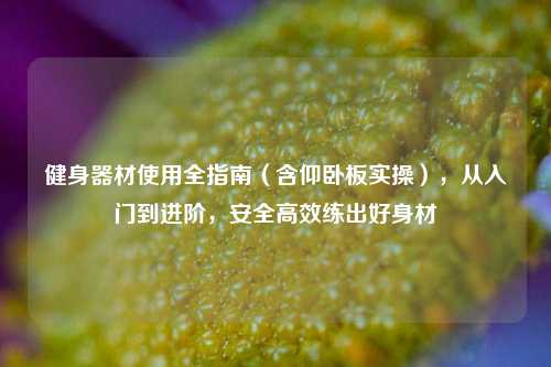 健身器材使用全指南（含仰卧板实操），从入门到进阶，安全高效练出好身材