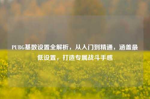 PUBG基数设置全解析，从入门到精通，涵盖更低设置，打造专属战斗手感