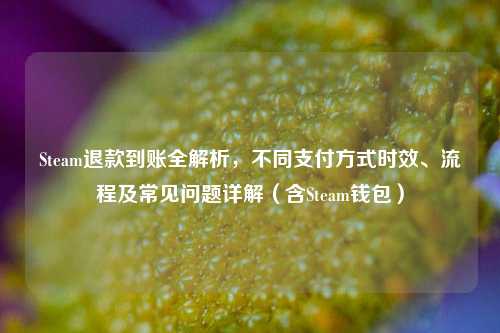 Steam退款到账全解析，不同支付方式时效、流程及常见问题详解（含Steam钱包）