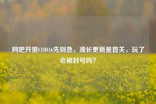 网吧开黑COD16先别急，漫长更新是首关，玩了会被封号吗？