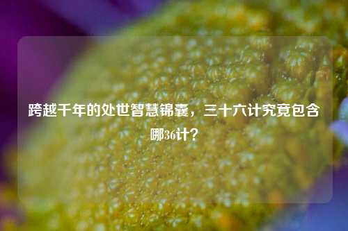 跨越千年的处世智慧锦囊，三十六计究竟包含哪36计？