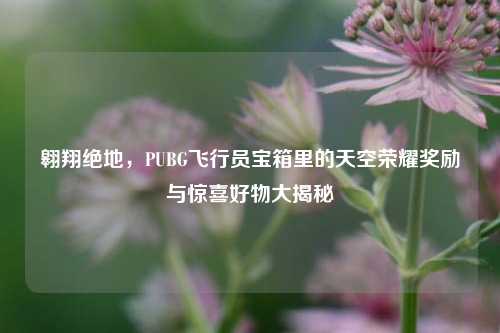 翱翔绝地，PUBG飞行员宝箱里的天空荣耀奖励与惊喜好物大揭秘
